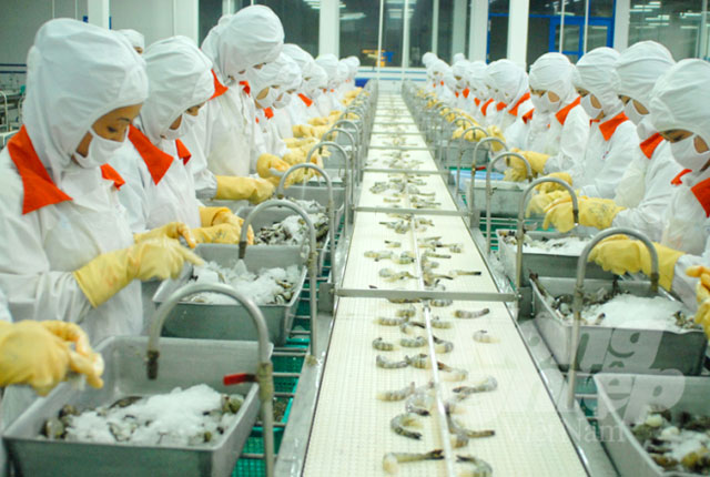 chế biến tôm xuất khẩu