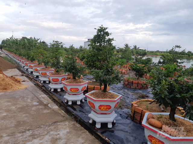 phân hữu cơ từ vỏ tôm