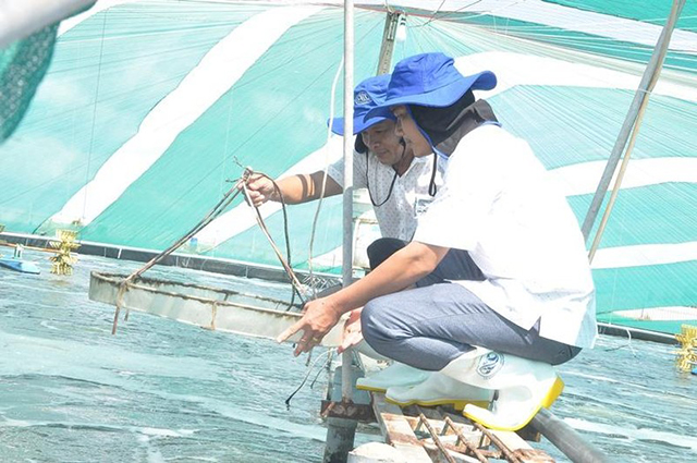 tiền giang hợp tác nhật bản