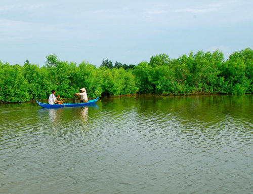 Chiến lược xanh hóa thủy sản