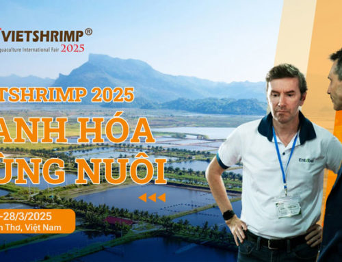 Vietshrimp 2025 sẽ trở lại tại TP. Cần Thơ