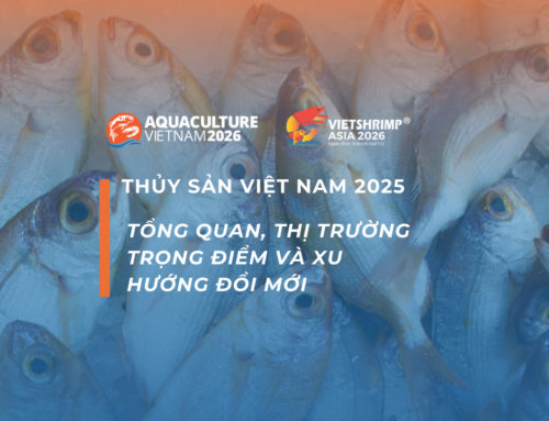THỦY SẢN VIỆT NAM 2025: TỔNG QUAN, THỊ TRƯỜNG TRỌNG ĐIỂM VÀ XU HƯỚNG ĐỔI MỚI