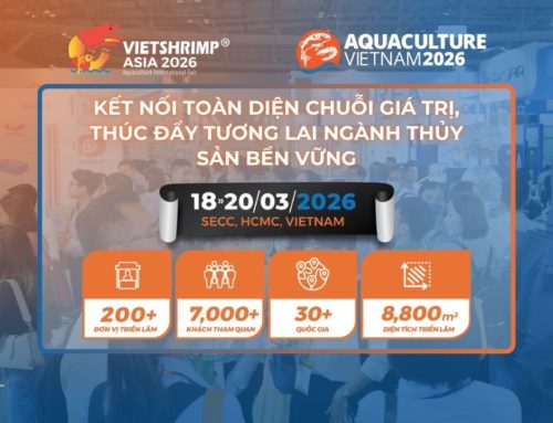 VIETSHRIMP ASIA 2026 & AQUACULTURE VIETNAM 2026 – KẾT NỐI TOÀN DIỆN CHUỖI GIÁ TRỊ, THÚC ĐẨY TƯƠNG LAI NGÀNH THỦY SẢN BỀN VỮNG